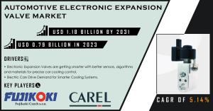 Automotive Electronic Expansion Valve Market Analysis