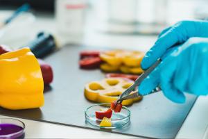 Food Safety Products and Testing Market