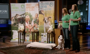 Wondercide's founder, Stephanie Boone, presenting the plant-powered products on ABC's Shark Tank.