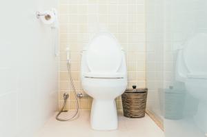 Portable Toilet Rental Market  Report