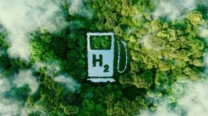 Hydrogen Market Share