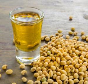 Soy Lecithin Market Size