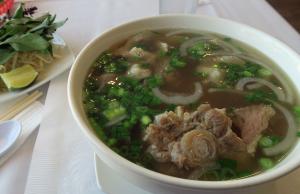 Pho Ever - Oxtail Beef Pho Noodle Soup