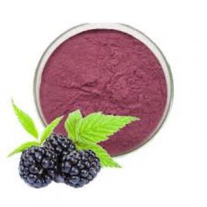 Natural Blackberry Flavor Extract Market