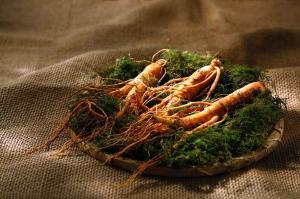 Ginseng Market Industry