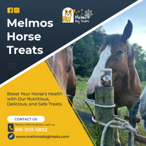 Horse Treats