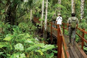 GCC Ecotourism Market Share