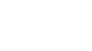 Provenonce logo (white)