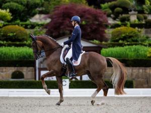 Adrienne Lyle dressage riding Helix the horse