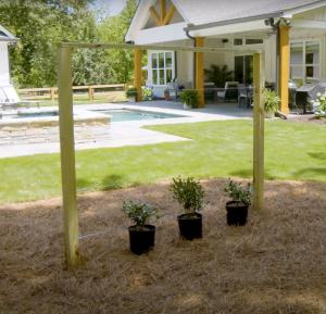 New Exmark Video Helps Homeowners Build a DIY Living Fence