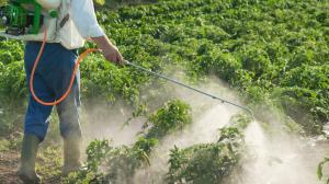 Crop Protection Chemicals Market Share