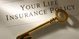Ordinary Life Insurance market