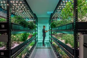 Hydroponics Market Trend