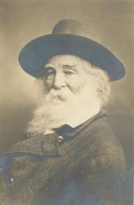 Original silver print Meserve photograph of Walt Whitman (1819-1892), the American poet and essayist, best known for his collection of poems titled Leaves of Grass (est. $350-$450).