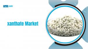 xanthate Market