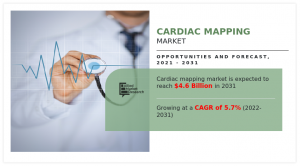 $4.6+ Billion  Cardiac Mapping Market Research, 2031: A Comprehensive Analysis