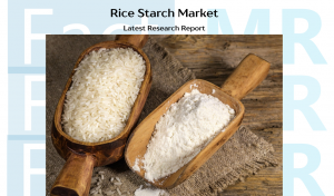 Rice Starch Market
