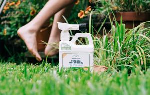 A bug spray like Wondercide is a green garden companion since the residue is safe for pollinators.