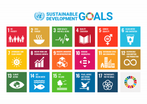 UN Sustainable Development Goals poster