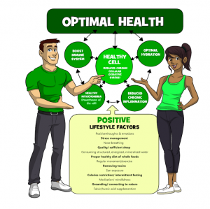 Chart of the Ultimate Health Model™ that illustrates the green side of the model for health