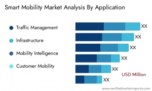 Smart Mobility Market analysis by Application