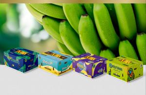 FRUTANA S.A. Surpasses  Million in Sales and Expands Global Reach in 2023