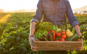 Organic Farming