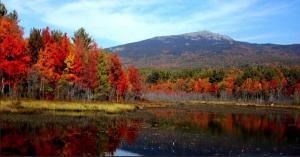 Mountain and Forest View at MVR