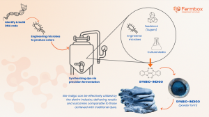 The image illustrates the process of creating Synbio-Indigo, a sustainable dye for denim. It begins with identifying and building DNA code, then engineering microbes to produce colors. These microbes are cultivated using sugars and culture media, then syn