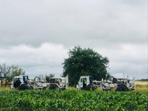 Burisma Group Completes 3D Seismic Works on a 176 sq. km area in 6 months