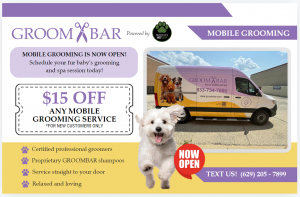 New Mobile Dog Grooming Salon in Schaumburg, Illinois