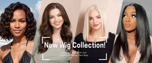 Transform Your Style and Confidence with Wigstrends’ Latest Collection of Luxurious Human Hair Wigs