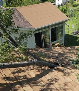 Tree through Omaha roof after storm