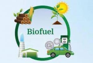 Biofuels and Biodiesel