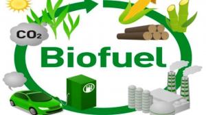 U.S. Biofuels Market Size