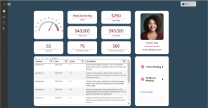 Zuar Portal Example Dashboard