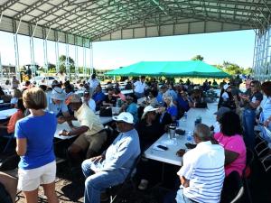 Farmers at the National Black Growers Council's Model Farm Field Day