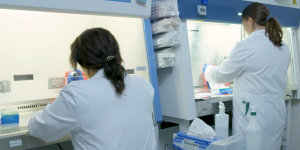 Scientists at work under the hood in Cell Microsystems' lab.