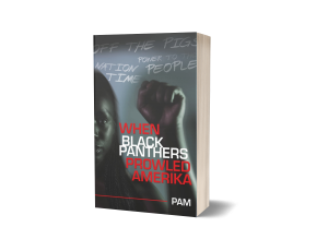 ‘When Black Panthers Prowled Amerika’ Explores the Confluence of Ideals and Action in a Turbulent Era