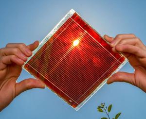 Perovskite Solar Cell