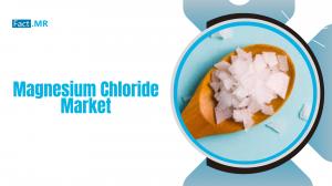 Magnesium Chloride Market