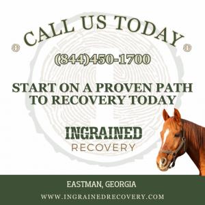 Ingrained Recovery logo and horse show the concept of make the confidential call to Ingrained Recovery for support options today!