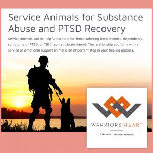 Warriors Heart’s K-9 Therapy program offers clients two options: 1. Service Dog / Emotional Support Dog Academy during their treatment and 2. Service Dog Specialized "Handler" Training and Adoption for warriors who want to take a K-9 home.