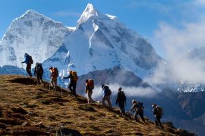 Alternative Tourism Market