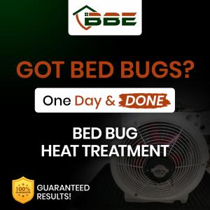 1 day & done bed bug treatment