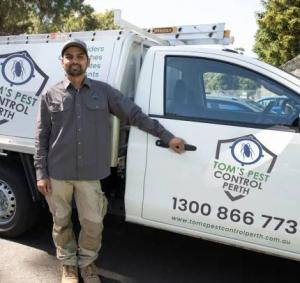 Best Pest Control Perth