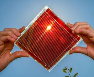 Perovskite Solar Cell Market