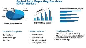 Data Reporting Services (DRS) Market