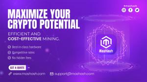 MASHASH platform