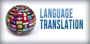 Website Translation Software Market 2024